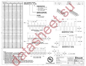 SMH100-LPSE-S10-SC-BK datasheet  